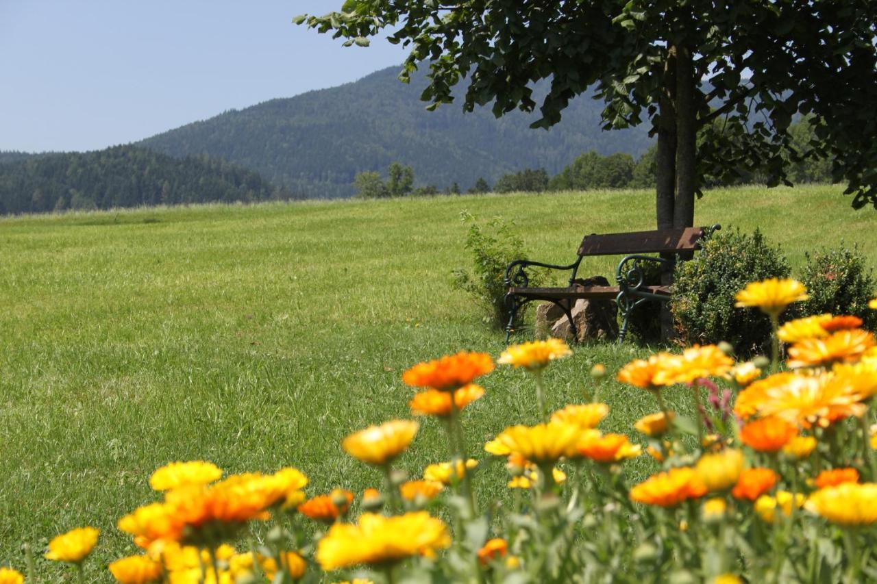 Vila Almenlandhof Fladnitz an der Teichalm Exteriér fotografie